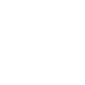 ICON1