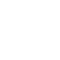 ICON1